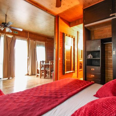 Alicat Villas 图卢姆 外观 照片